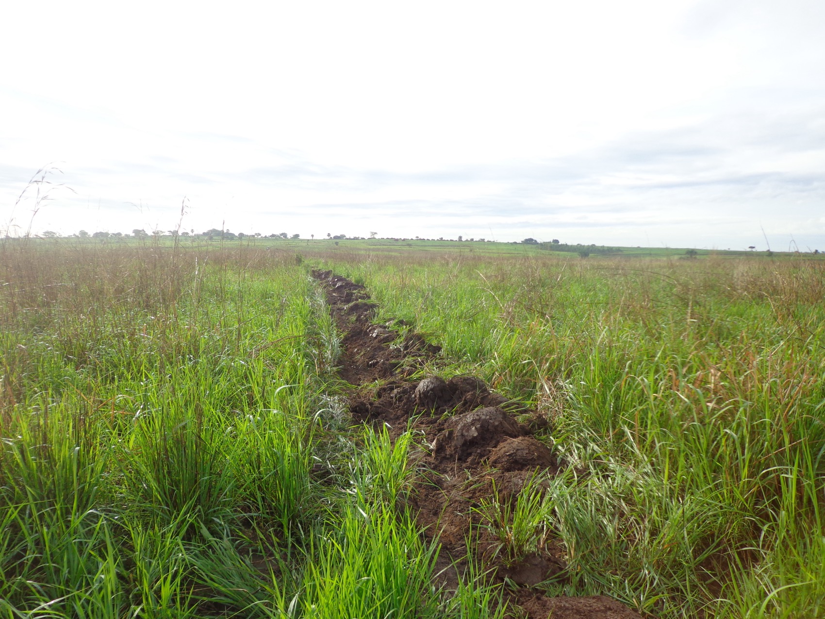 The Lakang centre crosses 5,900 acres of contracted service.