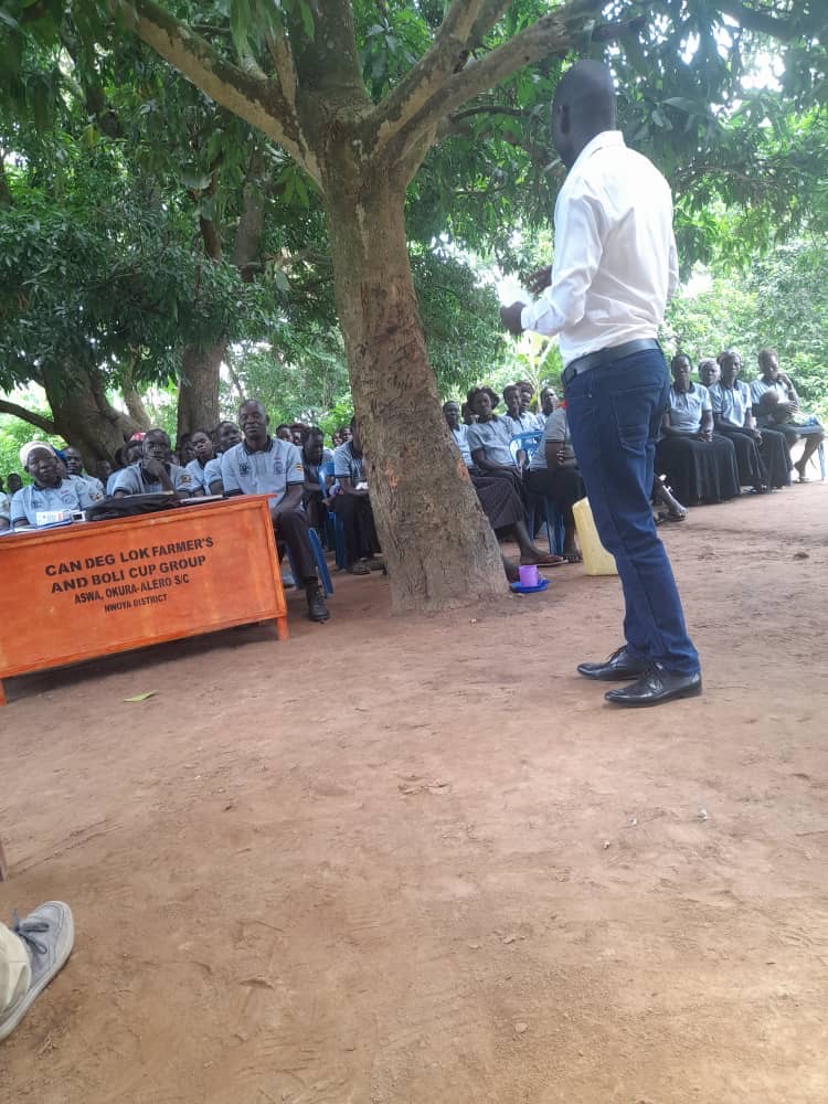 Growing groundnuts in Northern Uganda