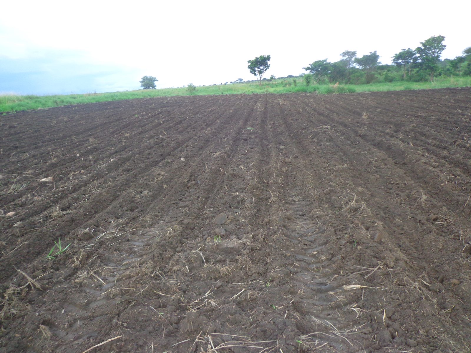 Northern Uganda planting calendar