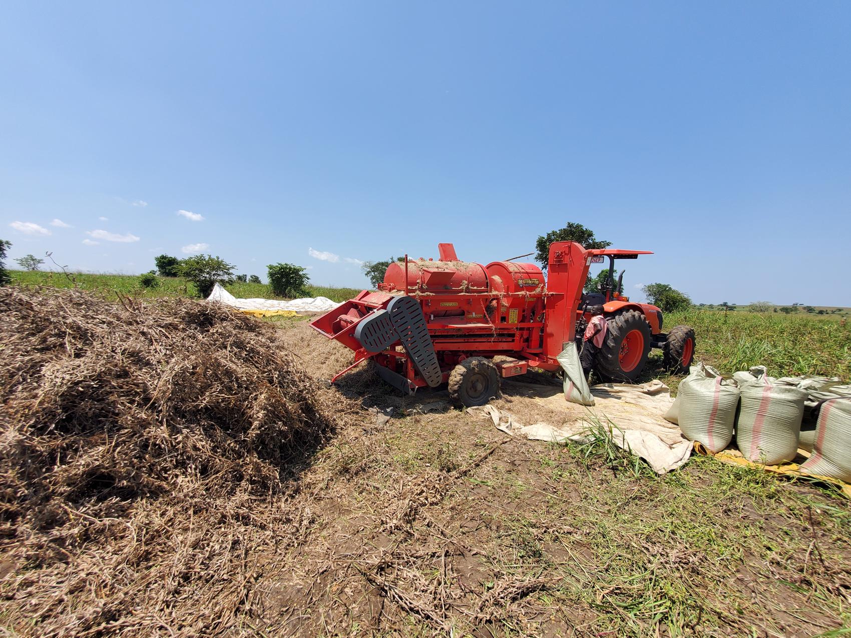 Grain threshers